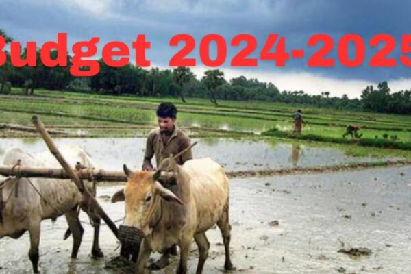 Budget 2024-2025: Key Highlights and Impact on Indian Farmers